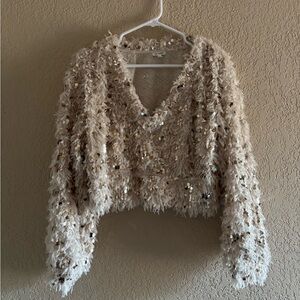 Sparkle Crop Sweater